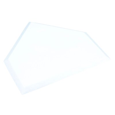 Champro Waffle Bottom Throw Down Plate